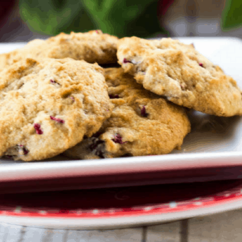 Sugar Free Cranberry Walnut Cookies